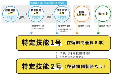 分野追加決定！特定技能とはどんな在留資格？制度や技能実習との違い、採用方法をわかりやすく解説 