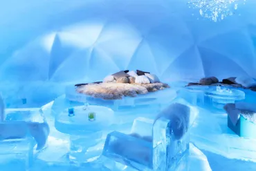 トマム】氷をテーマにしたディナーや露天風呂を堪能できる、すべてが氷で造られた「氷のホテル」オープン~滞在中いつでも楽しめる「氷のミニバー」を新たに設置~