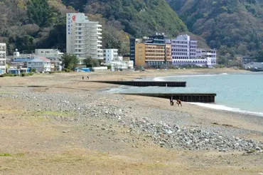 静岡県と伊豆市が津波区域に愛称 「海のまち安全創出エリア」 