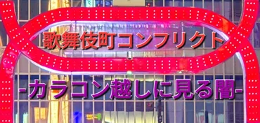 現代の闇を取材】歌舞伎町ぼったくりバー・トー横キッズ・大久保公園立ちんぼ(東京新宿裏社会) 