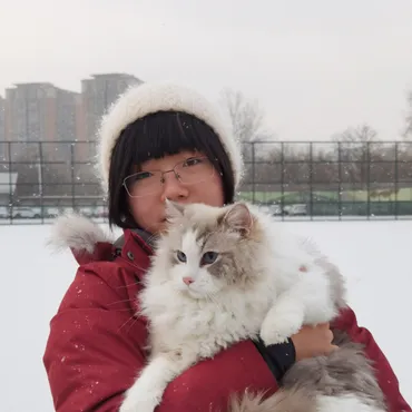 外国人留学生の声 