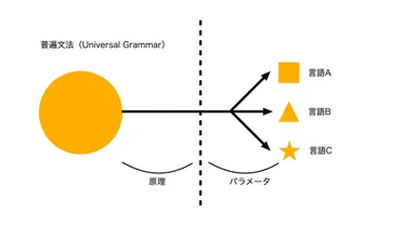 言語獲得のプロセスとは? 言語獲得装置や臨界期もわかりやすく解説 母語習得との関係は?