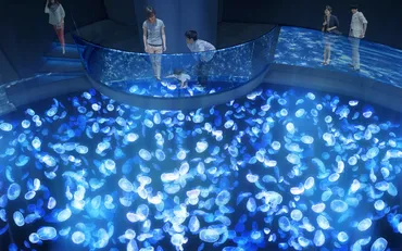 すみだ水族館、7月16日リニューアルオープン。約500匹のクラゲが泳ぐ「ビッグシャーレ」などの新エリア公開 入場料金改定も実施 