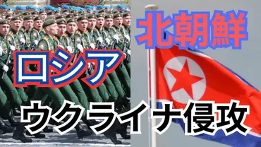 北朝鮮の派兵は「重大な脅威」 韓国外務省がロシア大使を呼びつけ抗議 国防省も「侵略戦争に加担」と非難：東京新聞デジタル