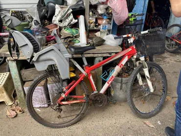 シンガポールの離島【ウビン島（Pulau Ubin）】でサイクリングを楽しむ 