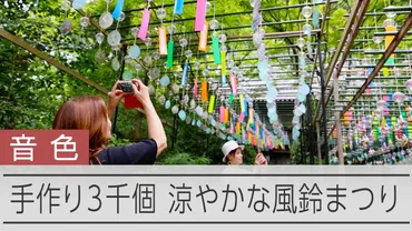 心の洗濯に」境内に3千個の風鈴、癒やしの音色 兵庫・佐用町の寺 兵庫県:朝日新聞
