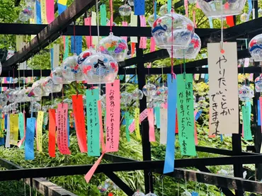田川・三井寺で「風鈴祭り」 1万3000個の涼やかな音色響く