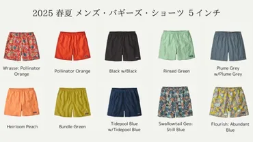 続・悲報】パタゴニアのバギーズ2025年春夏モデルがさらに値上げ!?