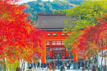 真っ赤に鮮やかな鳥居×楼門×紅葉！゛お稲荷さん゛が愛称の伏見稲荷大社へ