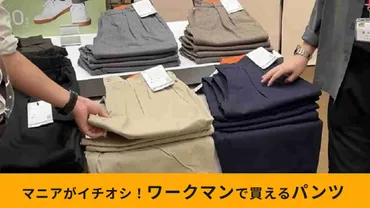 ワークマン】新作「タックテーパードパンツ」は今秋の大本命！ウールライク＆テーパードシルエットが美しい 