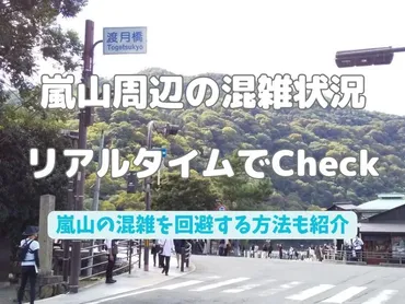 嵐山の混雑状況をリアルタイムで確認/混雑回避の方法も紹介 