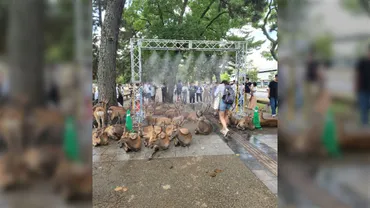 シカだって暑い!奈良公園のシカがミストシャワーに押し寄せて占拠している様子が凄まじい「しかしかいないのはしかたない」