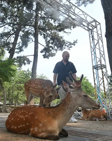 シカも観光客も涼求め 奈良公園にミスト設置 2日の最高気温34度
