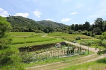 京都 修学院離宮の棚田 写真素材 2979285