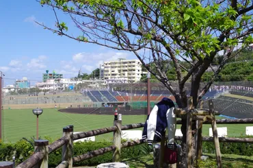 2025年プロ野球春季キャンプ完全ガイド