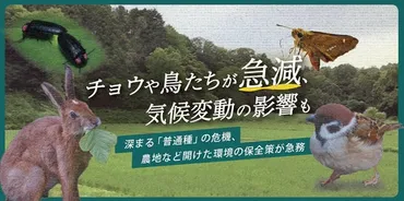 モニタリングサイト1000里地調査2005
