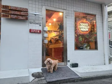 店内犬OK「ソープ SOAP」池尻の韓国風カフェ インスタ女子に大人気!!真っ白でかわいい店内が居心地最高◎ メニュー充実!直近駐車場アリ 