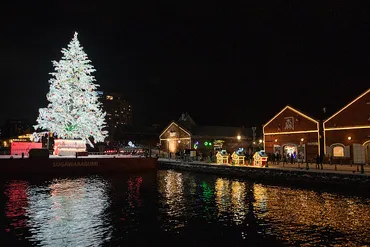 2024/11/30～12/25】週末とクリスマスは花火がボリュームアップ「はこだてクリスマスファンタジー」 