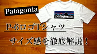 パタゴニアの人気「Tシャツ」(P