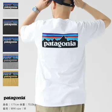 patagonia(パタゴニア) メンズ・P