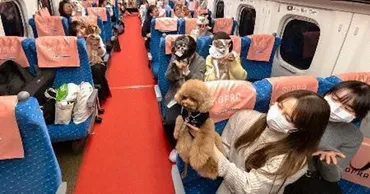 愛犬と行く新幹線旅行「わんわんエクスプレス」とは？愛犬との旅を快適にするための取り組みとは？愛犬と新幹線旅行を実現！「わんわんエクスプレス」の詳細