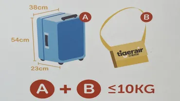 2024年】タイガーエアの「機内持ち込み」は厳しい！？預け荷物も解説 