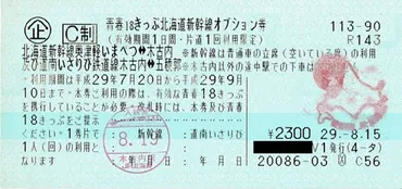 青春18きっぷ北海道新幹線オプション券 
