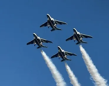 ブルーインパルスをみに入間基地航空祭へ！』狭山・入間(埼玉県)の旅行記・ブログ by peachさん【フォートラベル】