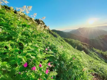 白山登山体験記：魅力あふれる山旅の記録と、山頂郵便局からの手紙 (？)白山登山：アクセス、道中の体験、そして山頂からの手紙。