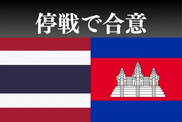 タイ・カンボジアが「停戦」で合意 両首脳の会談を仲介したマレーシア首相は「即時かつ無条件」と明かす：東京新聞デジタル