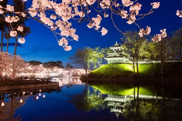 日本三大夜桜の高田城へ