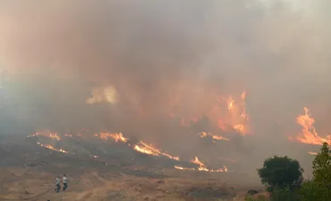 地中海沿岸各国、山火事相次ぐ 猛暑による熱波影響 