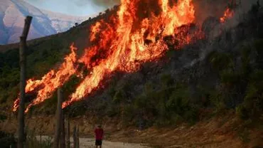 ヨーロッパ南部各地で山火事、少なくとも3人死亡 気温も40度超に Wedge ONLINE(ウェッジ・オンライン)