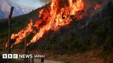 ヨーロッパ南部各地で山火事、少なくとも3人死亡 気温も40度超に 