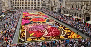 ブリュッセルに出現した約100万本の花の絨毯!フラワーカーペット2024!! – ぽりとぴ