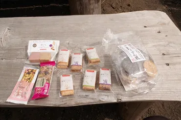 富士山登山と食料計画：安全で快適な登山を楽しむには？富士登山を安全に楽しむための食料戦略