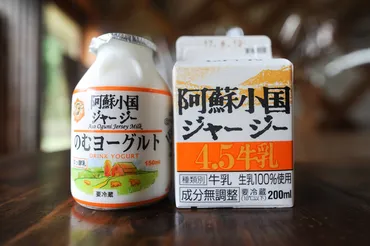 ジオパークの魅力再発見！～自然と文化が織りなす地域活性化への取り組みとは？～ジオパークが育む食文化と持続可能な観光
