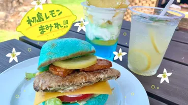 熱海】レモンいっぱいの初島へ!テラスレストラン〈ENAK〉のレモングルメを楽しむ!(Momo*Kinari)