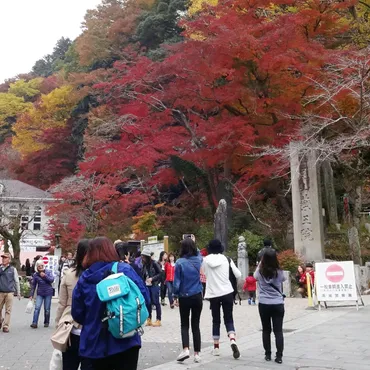 高尾山の魅力再発見！アクセス、紅葉、お得なきっぷ…知っておきたい高尾山情報まとめ？高尾山への誘い：アクセス方法、混雑状況、お得なきっぷ、バリアフリー情報