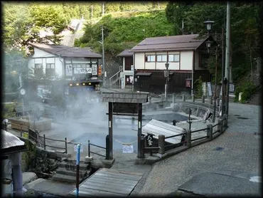 野沢温泉の魅力再発見！温泉と食を堪能できるイベントとは？初夏の野沢温泉村で味わう、たけのこまつりの楽しみ方