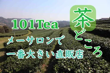 メーサロン最大級の茶畑&直販店「101tea(101号茶畑)」はプラント内で記念撮影もできるよ