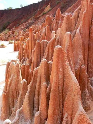 マダガスカルの世界遺産ツィンギ・デ・ベマラ冒険旅行記！絶景と秘境の魅力を徹底解説？ツィンギ・デ・ベマラ：新婚旅行から始まる冒険
