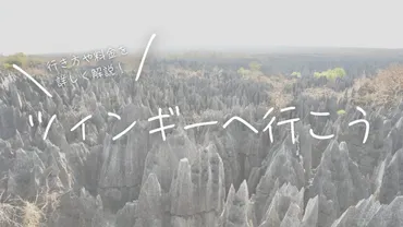 まるっと解説】マダガスカルの世界遺産ツィンギーへの行き方と目安料金