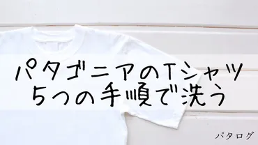 パタゴニアのTシャツを洗う5つの手順【乾燥機でOK】