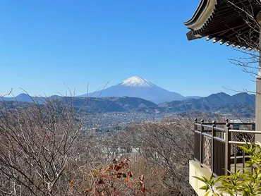 弘法山公園の魅力！ハイキング、自然、四季折々の風景を満喫できる？富士山、ハイキング、バードサンクチュアリ、弘法山公園