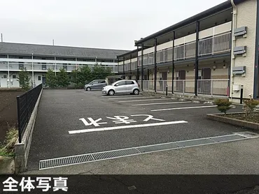 土日予約も!】弘法山公園(神奈川県秦野市)のおすすめ駐車場予約 1日とめても安い!