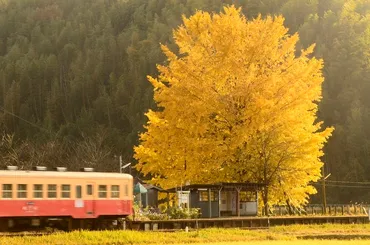 鉄道写真家 中井精也氏が捉える、日本の美しい鉄道風景とは？鉄道写真の世界：旅情を写し出す写真家たちの視点