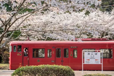鉄道写真家 中井精也ブログ「1⽇1鉄!」20周年記念写真展「今⽇もHappy Train!」が東京 丸の内のエプサイトギャラリーで開催