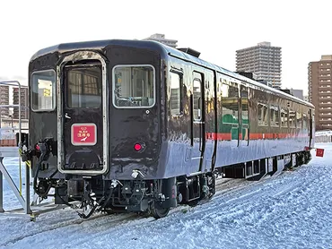 釧路湿原観光ガイド：SL冬の湿原号、ノロッコ号で行く自然満喫旅！(？)冬のSL、夏のノロッコ号、釧路湿原の魅力