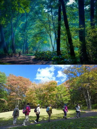 赤城自然園 紹介ページ※2025年度プログラムを更新しました! – Gadenetガデネット